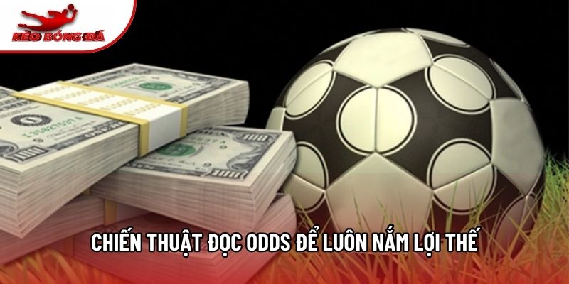 Chiến thuật đọc Odds để luôn nắm lợi thế Chiến thuật đọc Odds để luôn nắm lợi thế