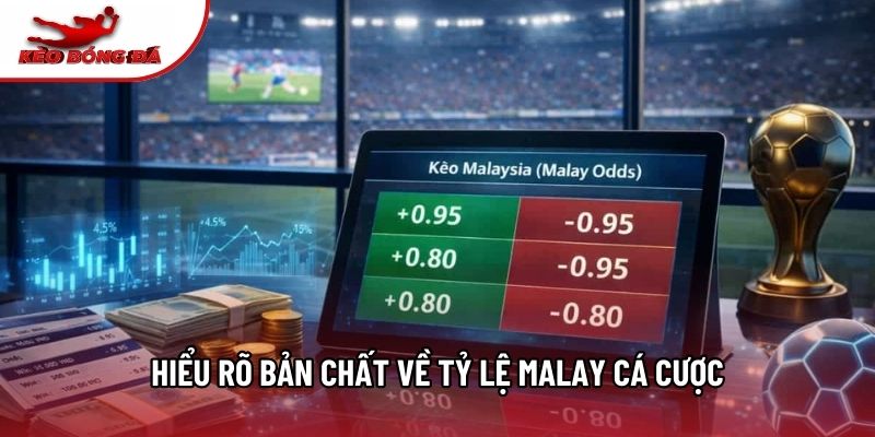 Hiểu rõ bản chất về tỷ lệ Malay cá cược Hiểu rõ bản chất về tỷ lệ Malay cá cược