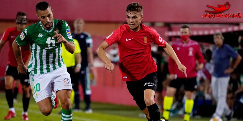 Mallorca vs Real Betis đang có sự tương phản nhất định Mallorca vs Real Betis đang có sự tương phản nhất định