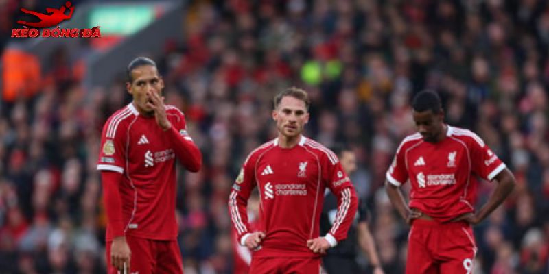 Nottingham vs Liverpool mang lại những bất ngờ Nottingham vs Liverpool mang lại những bất ngờ