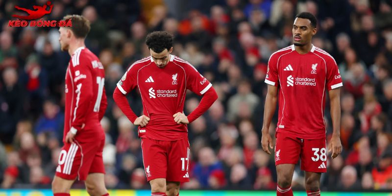 Nottingham vs Liverpool thách thức không nhỏ Nottingham vs Liverpool thách thức không nhỏ